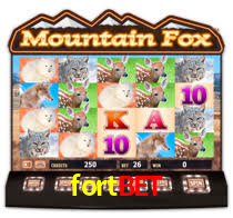 fortbet,fortbet com